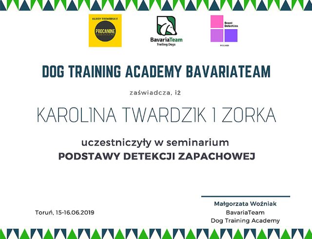 pozytywne szkolenie psów Toruń