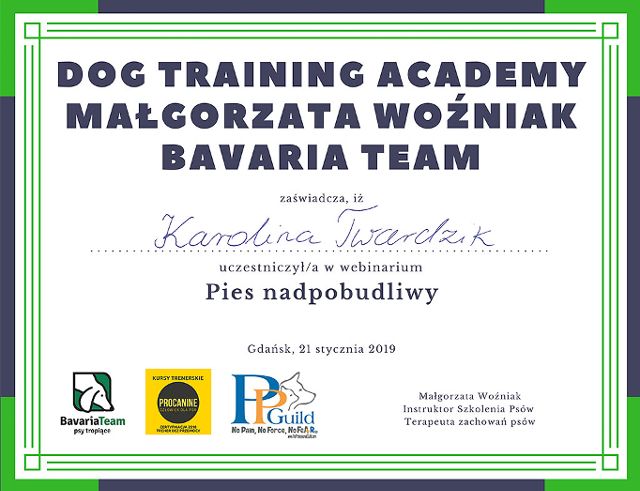 tresura szkolenie psów Bydgoszcz