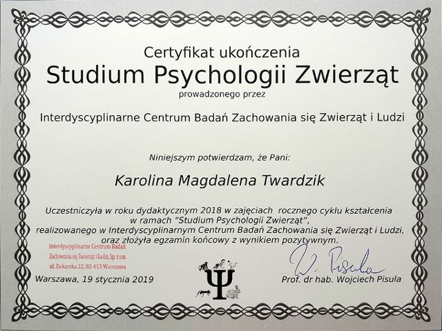 behawiorysta szkolenie tresura Toruń Bydgoszcz 